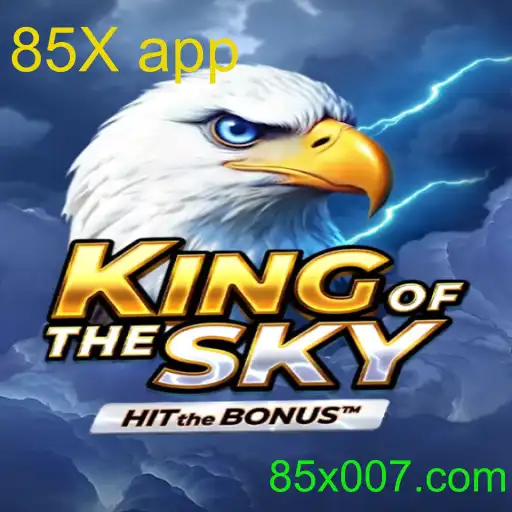 KingOfTheSky